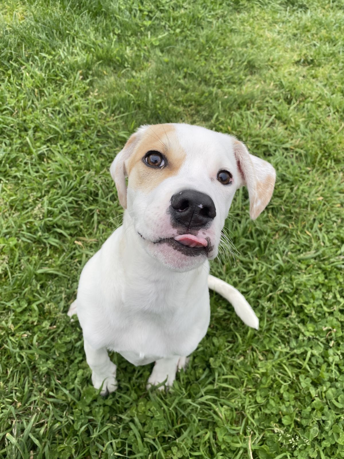 Gallery image: Manny