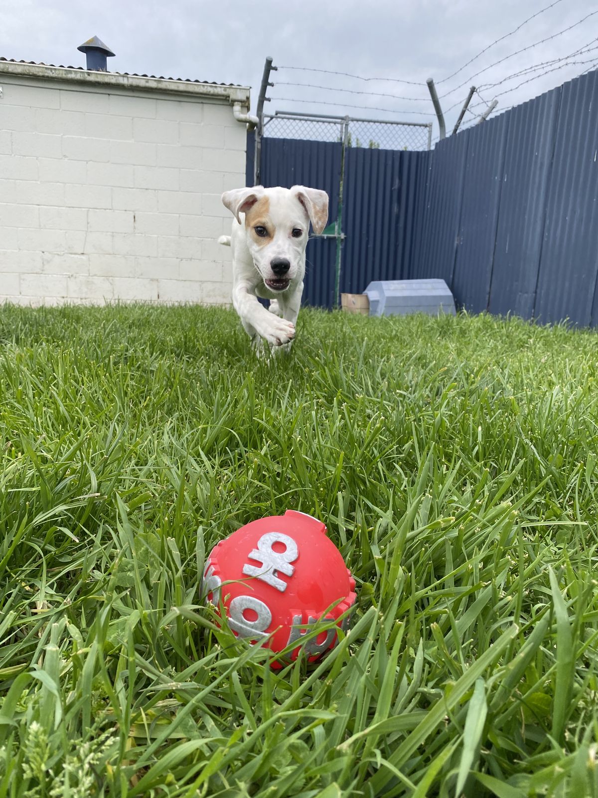 Gallery image: Manny