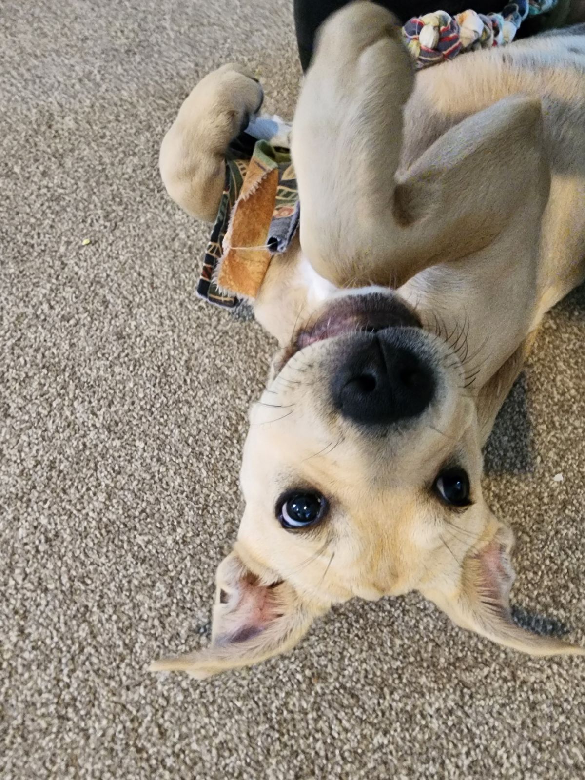 Gallery image: Kelly