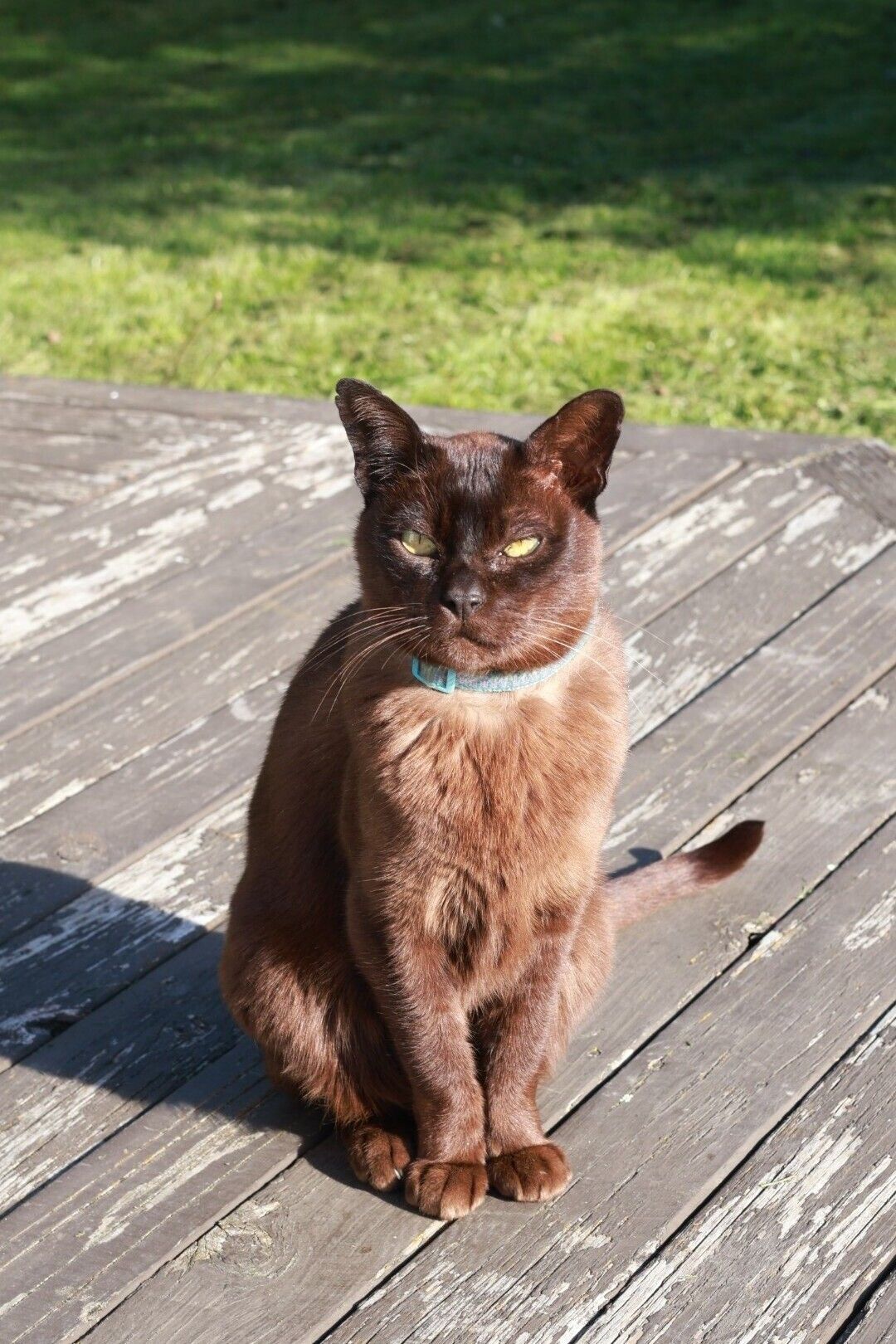 Gallery image: Ernie