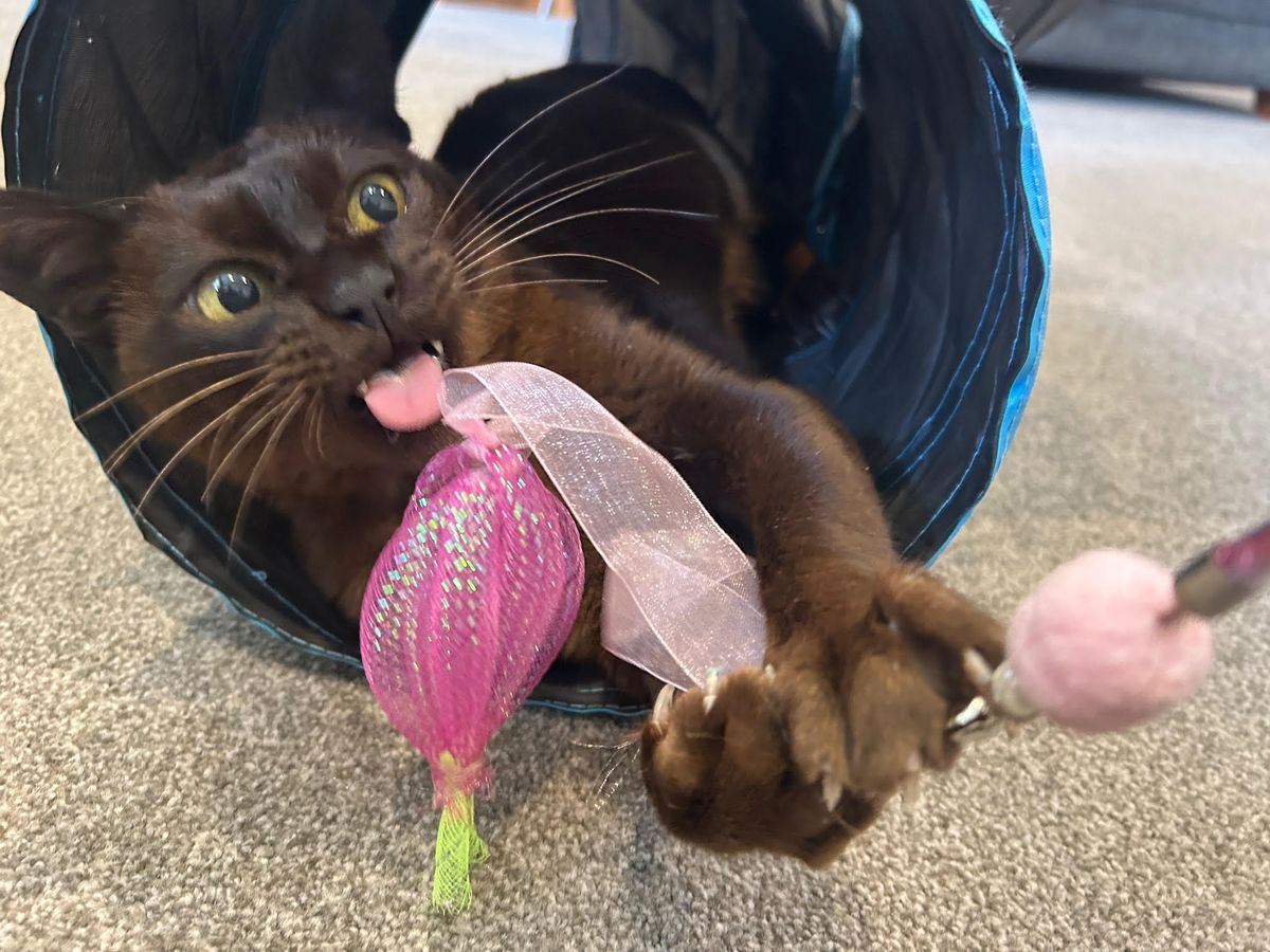 Gallery image: Ernie