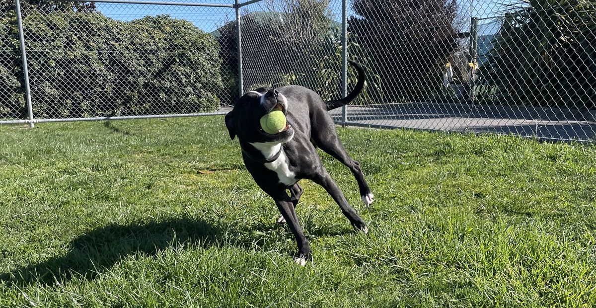 Gallery image: Lottie