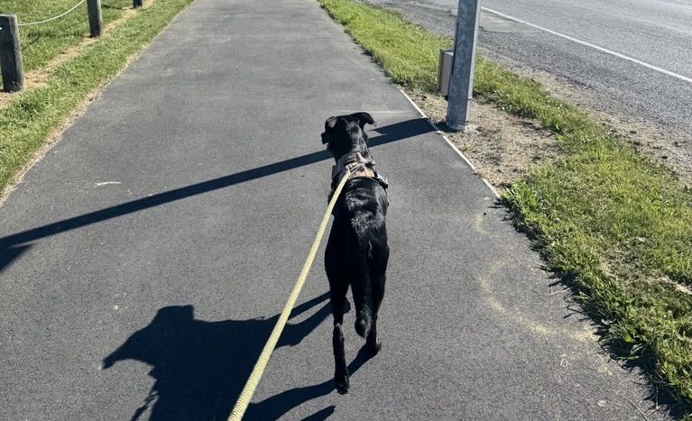 Gallery image: Molly