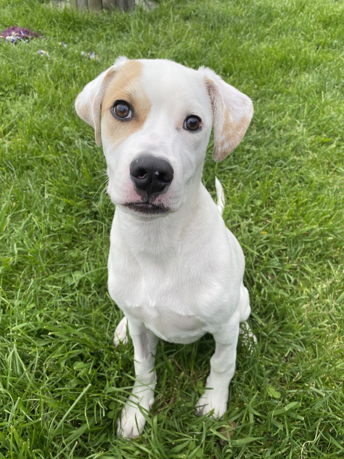 Gallery image: Manny