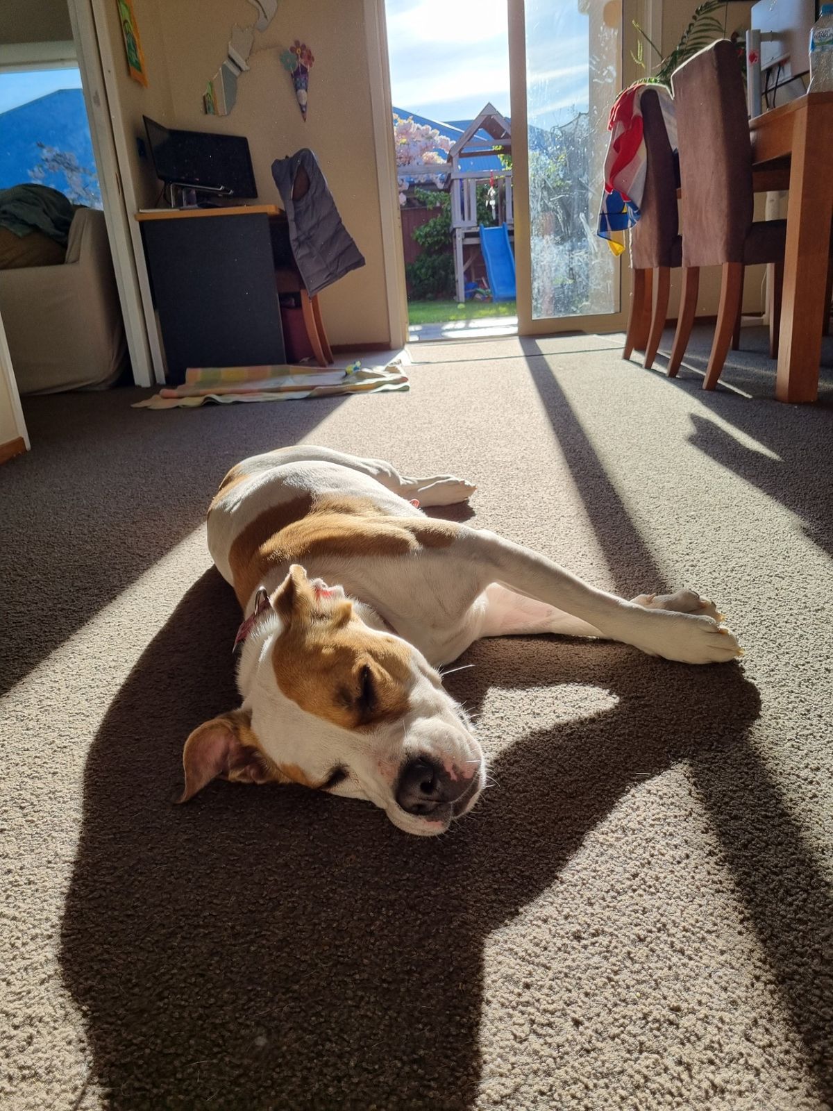 Gallery image: Layla