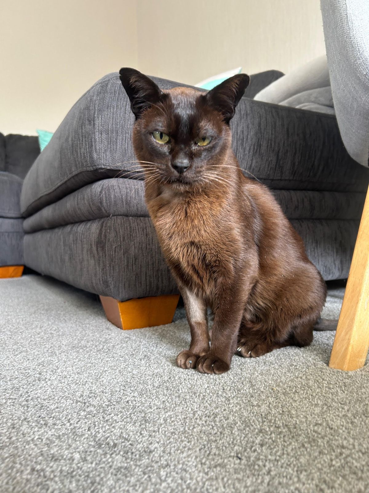 Gallery image: Ernie