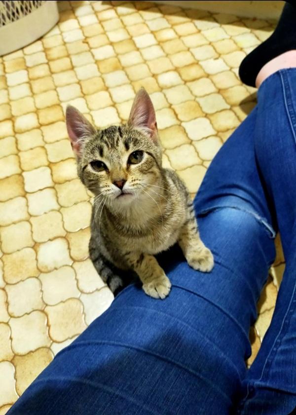 Empurress in her foster home