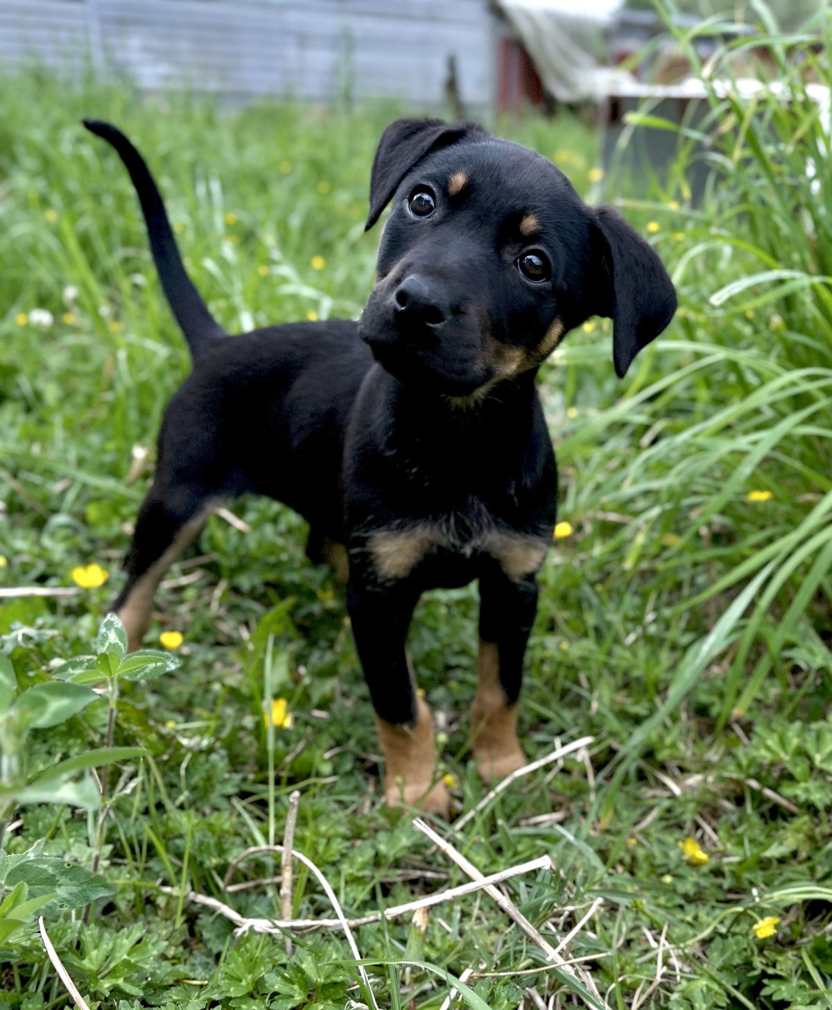 Gallery image: Ellie