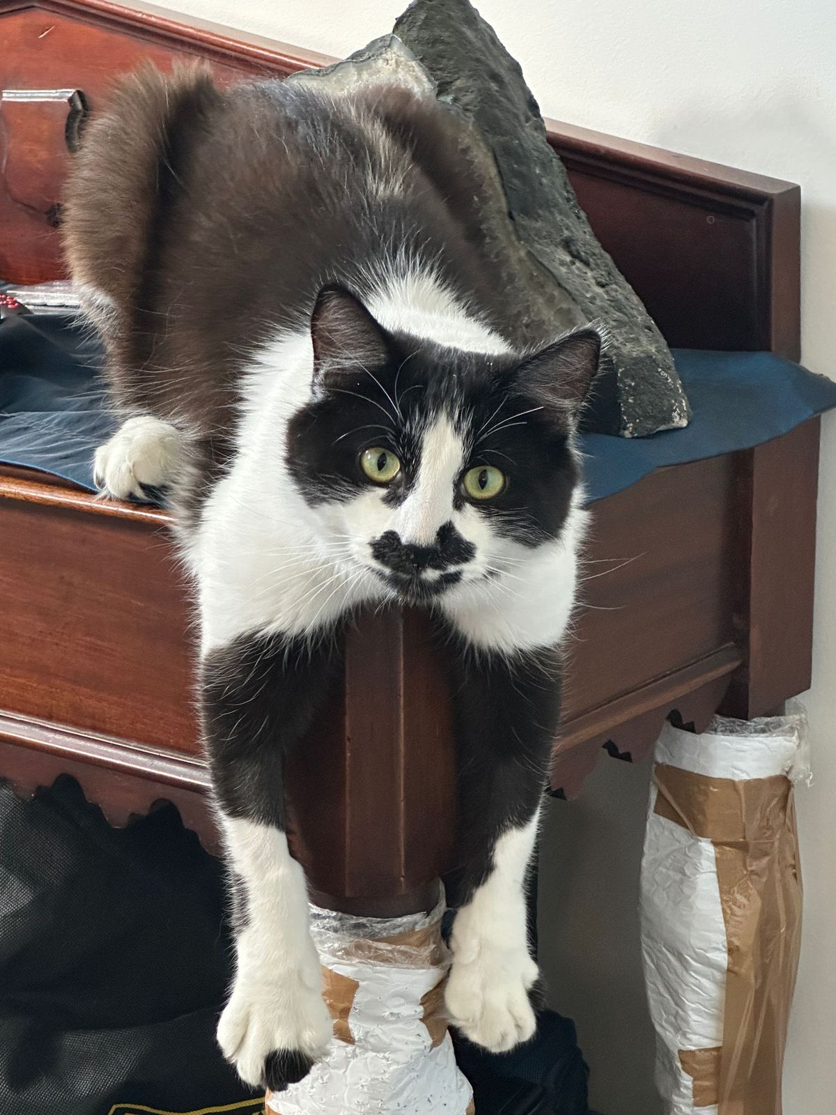 Gallery image: Zigzag