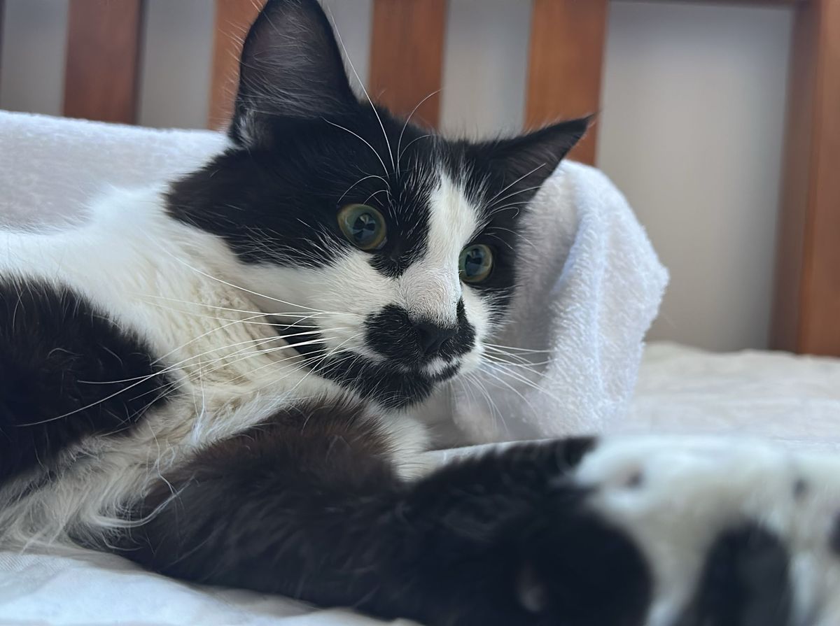 Gallery image: Zigzag