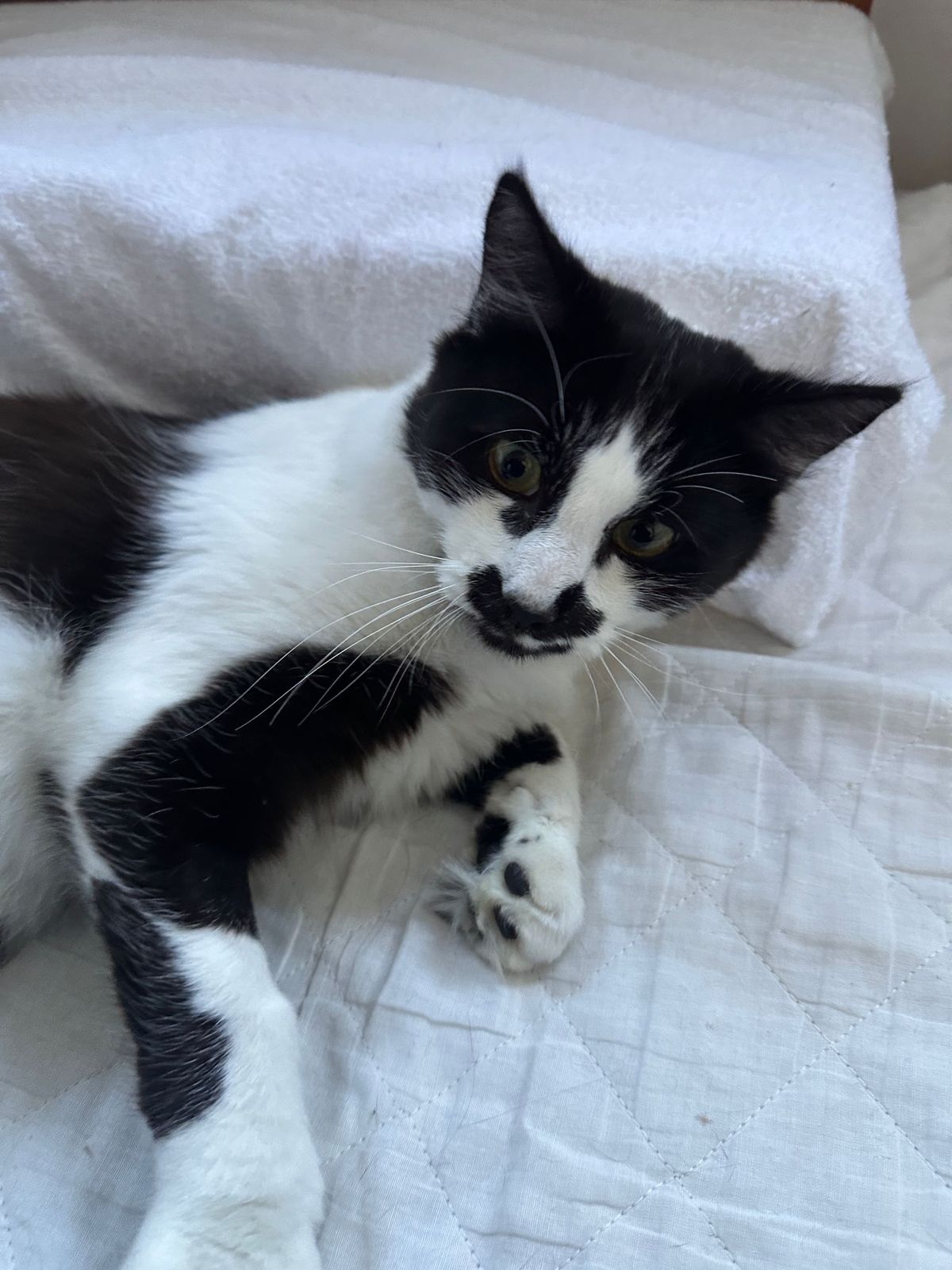 Gallery image: Zigzag