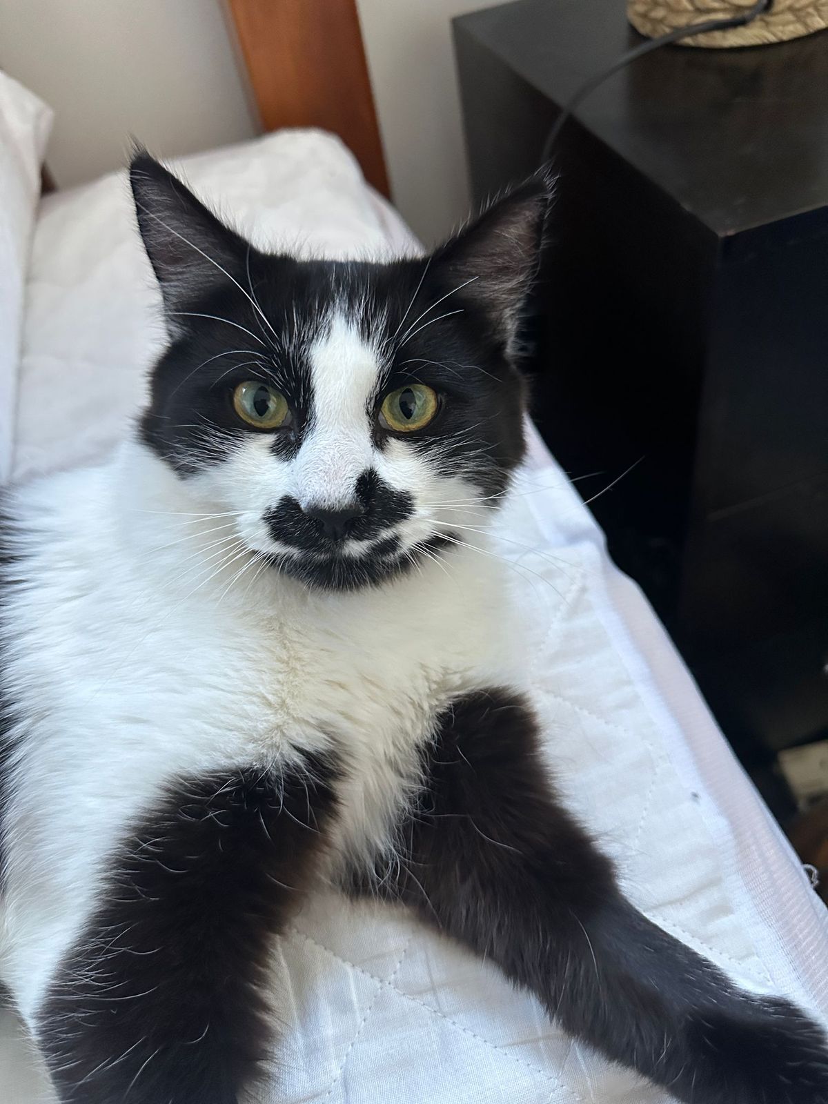 Gallery image: Zigzag