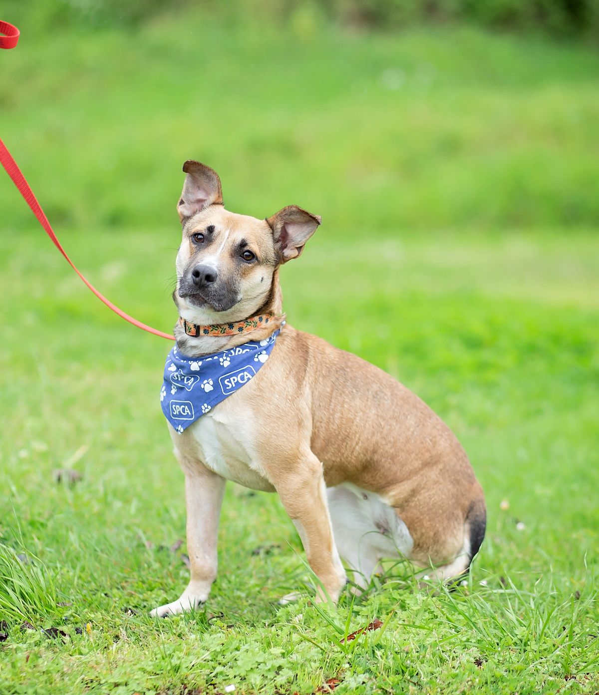 Gallery image: Queenie