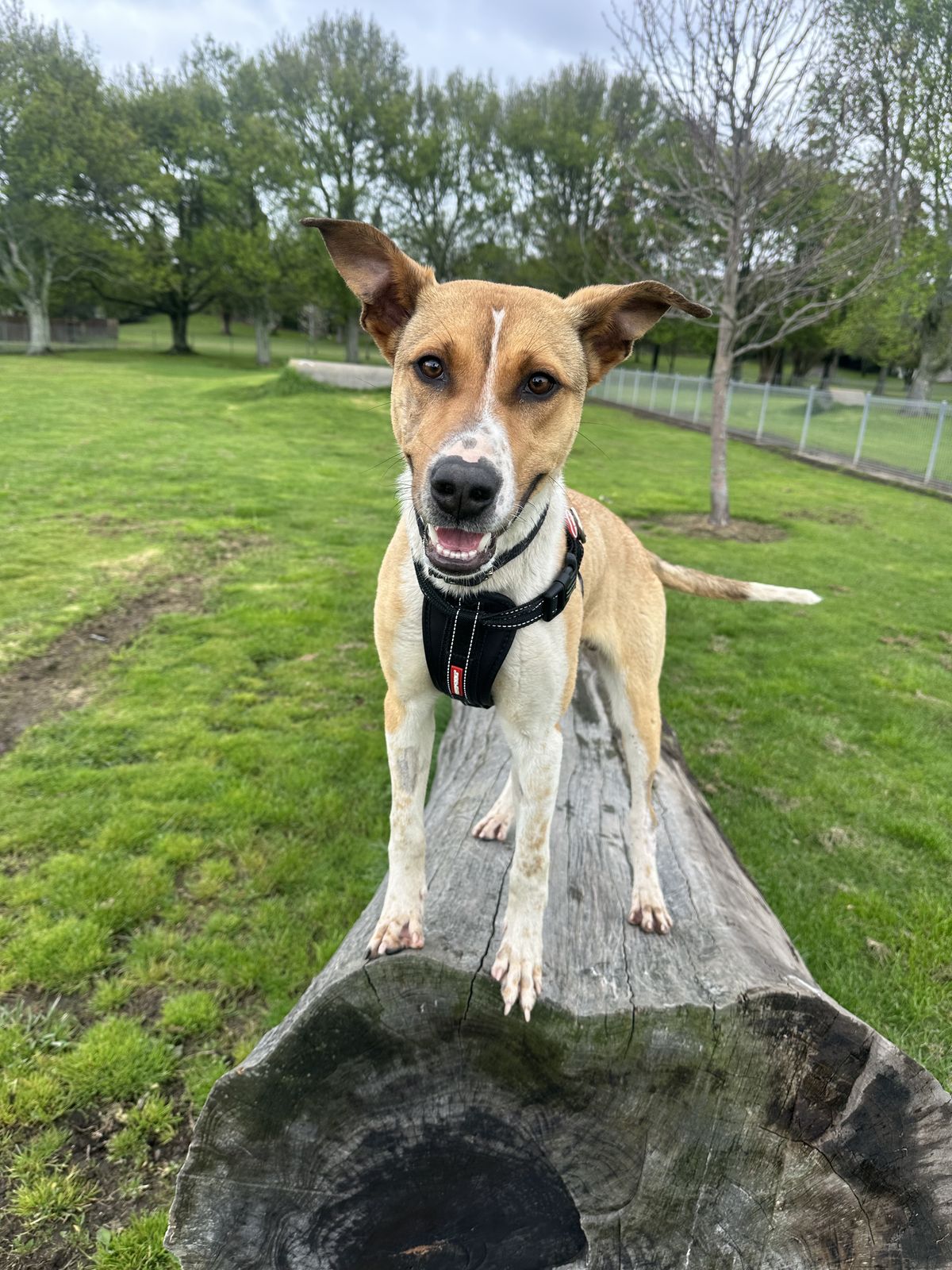 Gallery image: Johnny