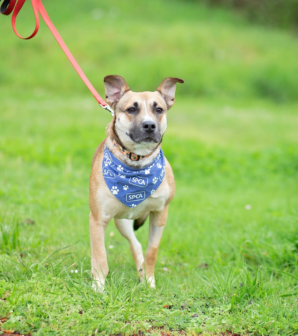 Gallery image: Queenie