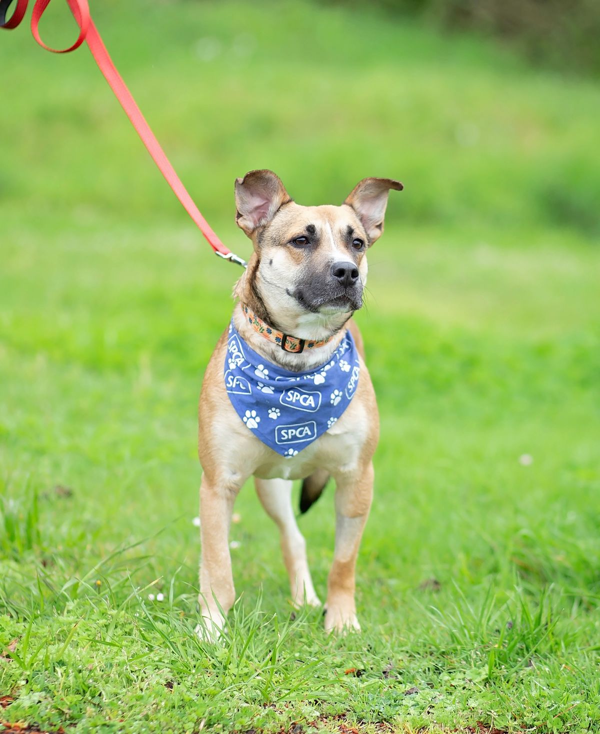 Gallery image: Queenie