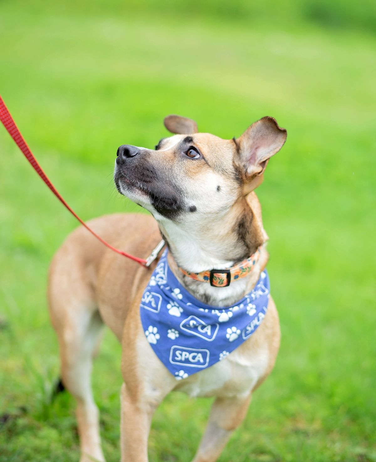 Gallery image: Queenie