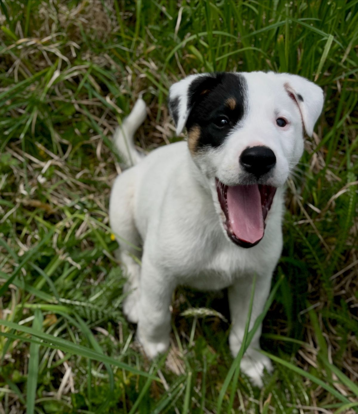 Gallery image: Russel