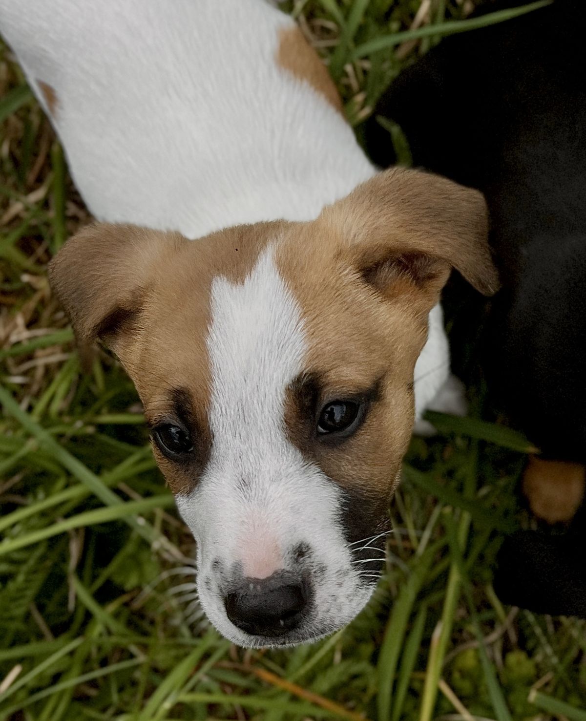 Gallery image: Kevin