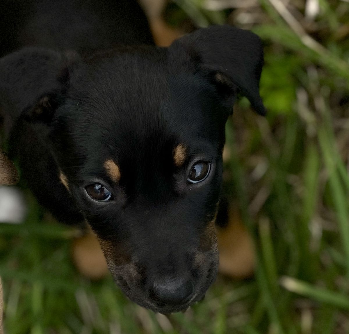 Gallery image: Ellie