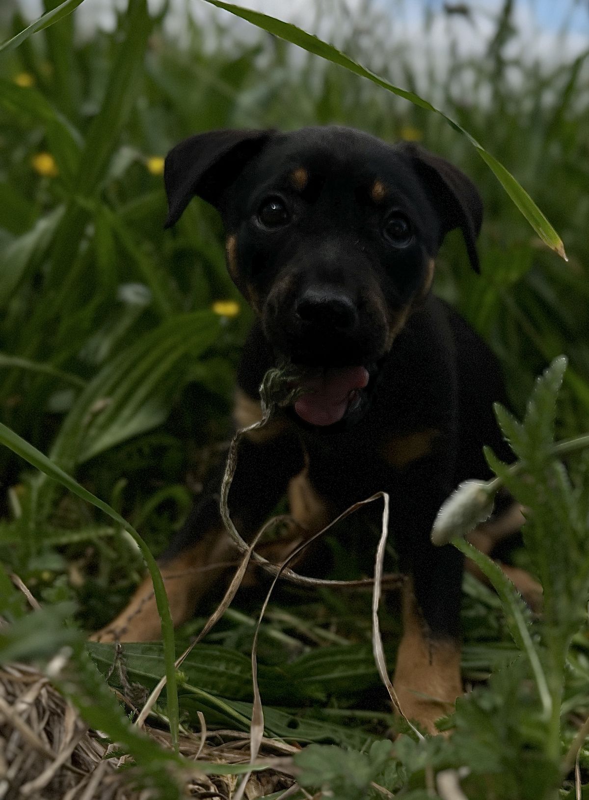 Gallery image: Ellie