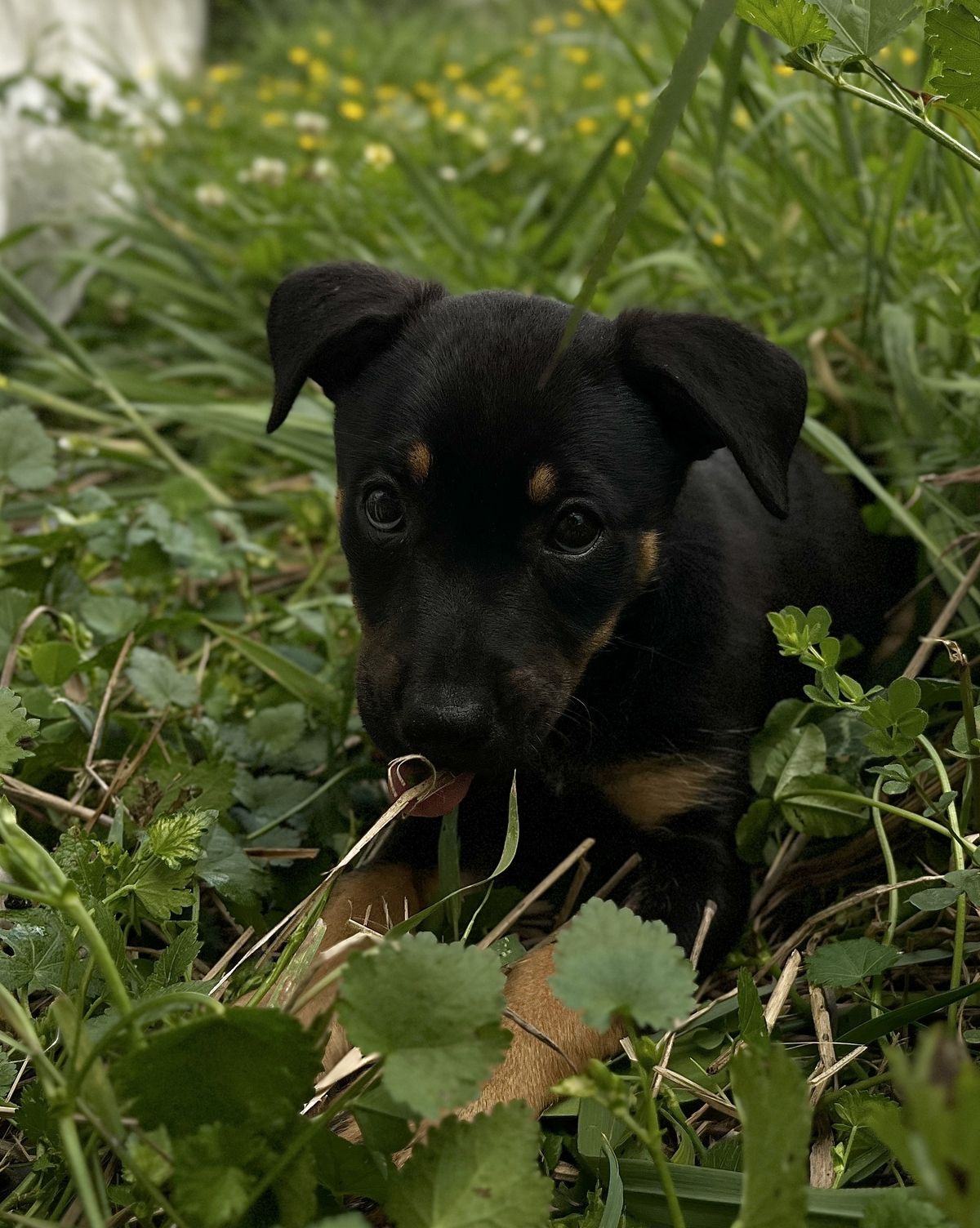 Gallery image: Ellie