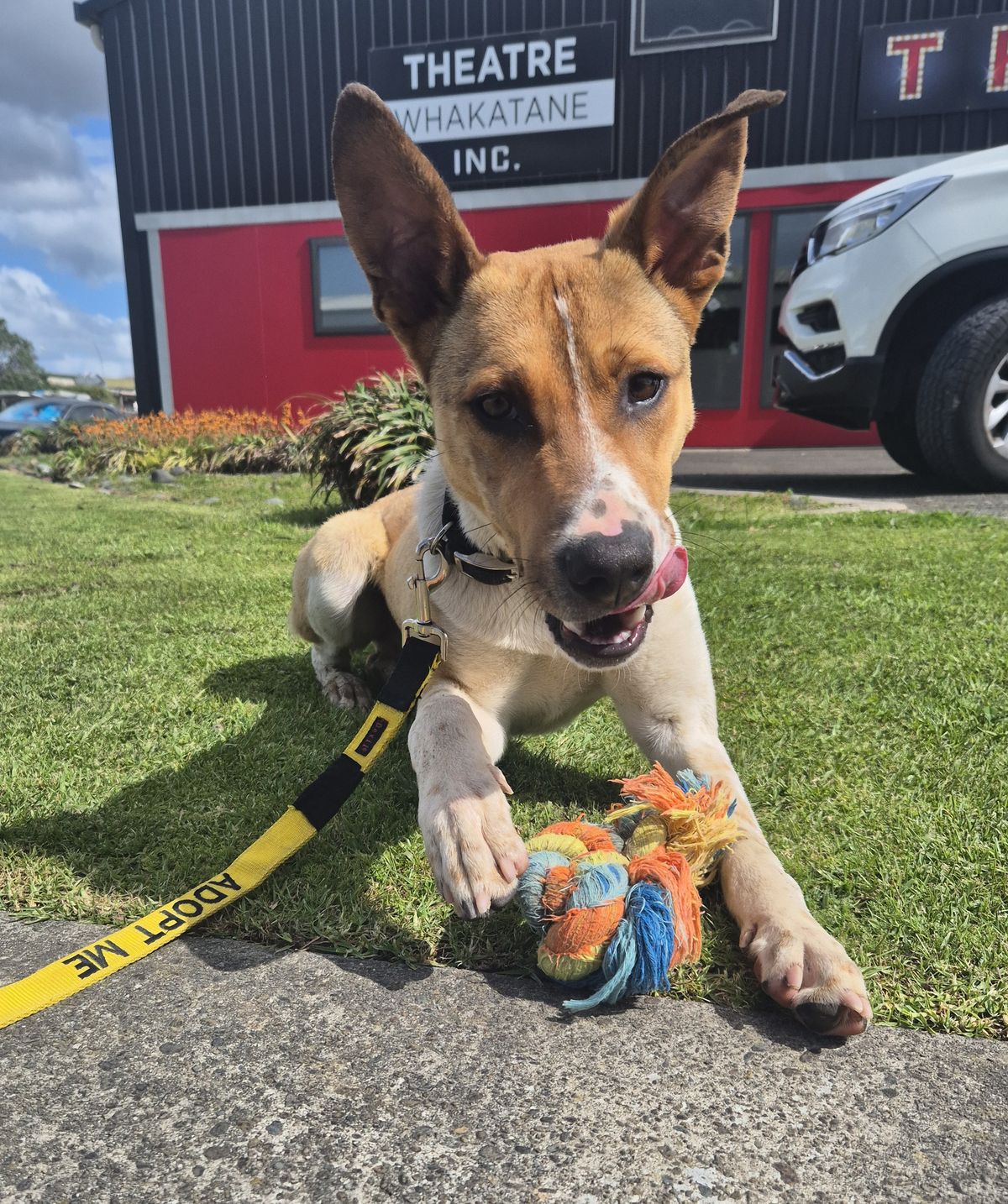 Gallery image: Johnny