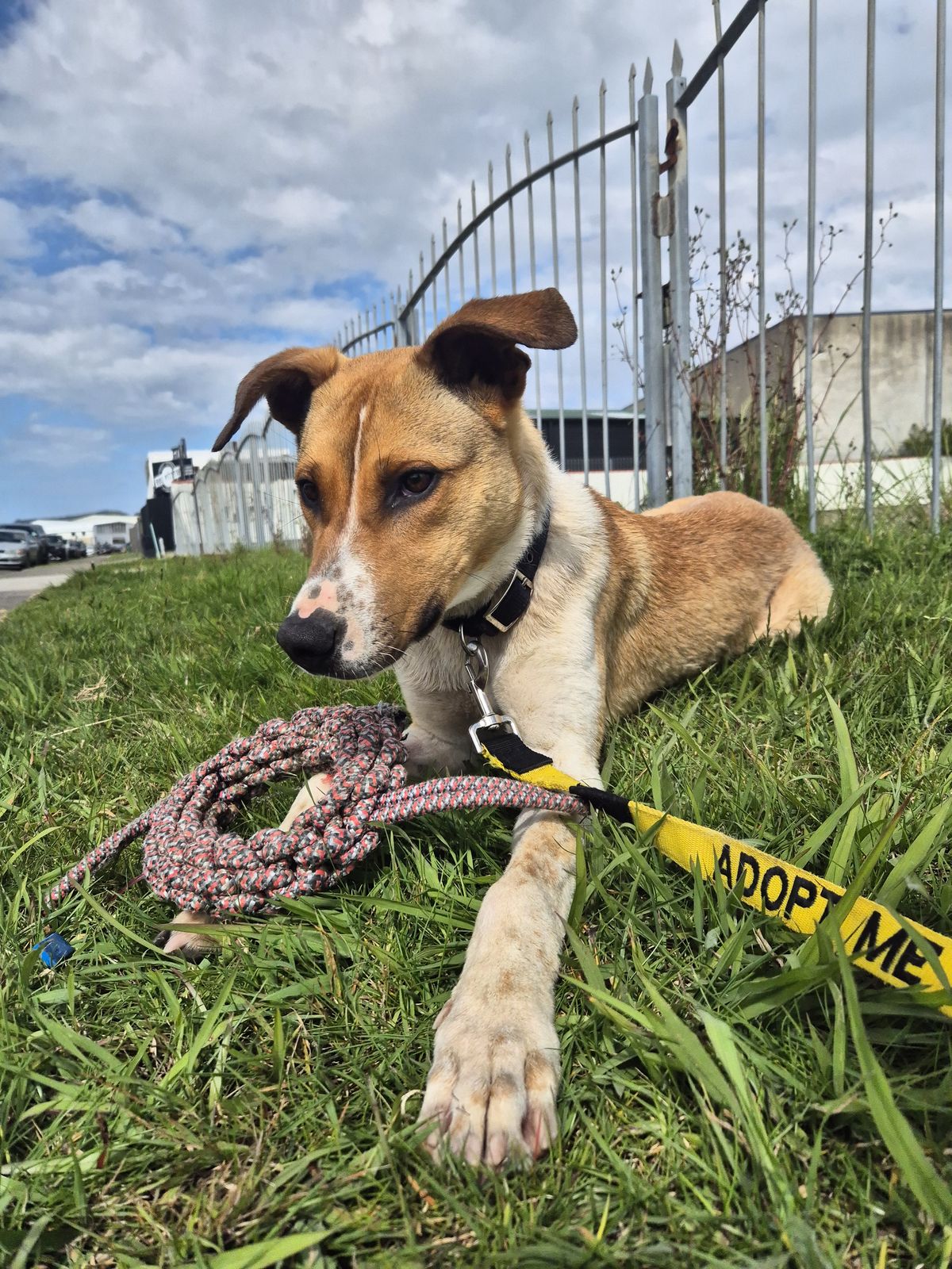 Gallery image: Johnny