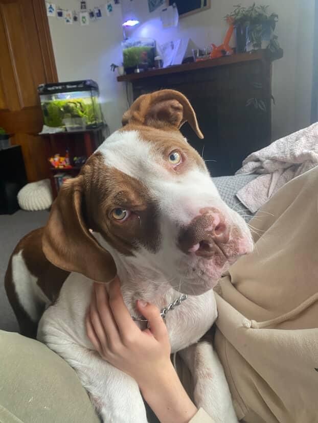 Gallery image: Valor