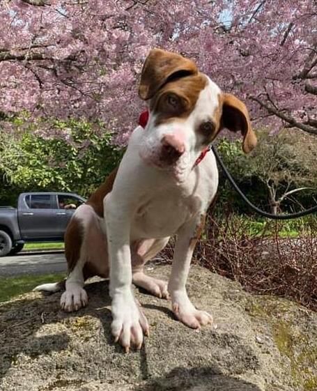 Gallery image: Valor