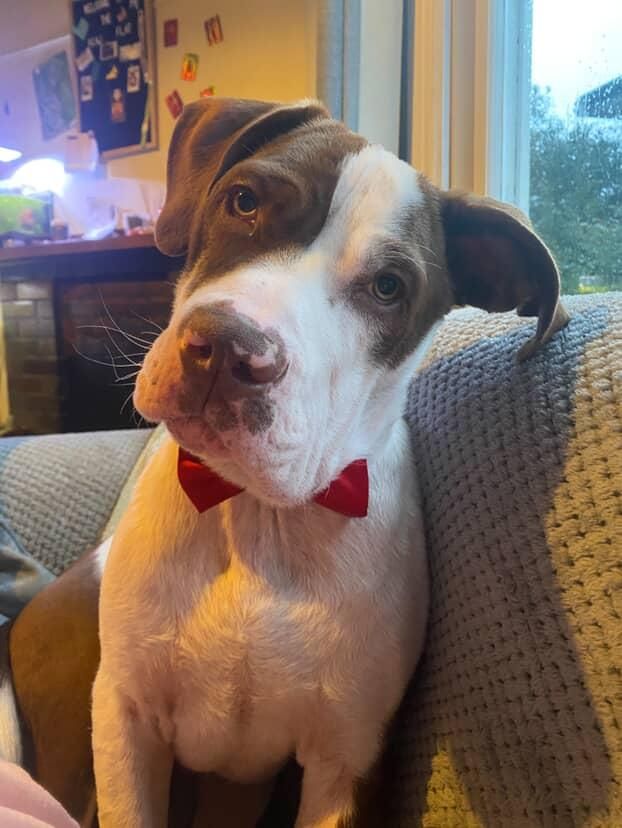 Gallery image: Valor