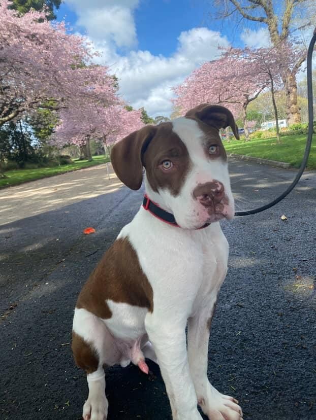 Gallery image: Valor