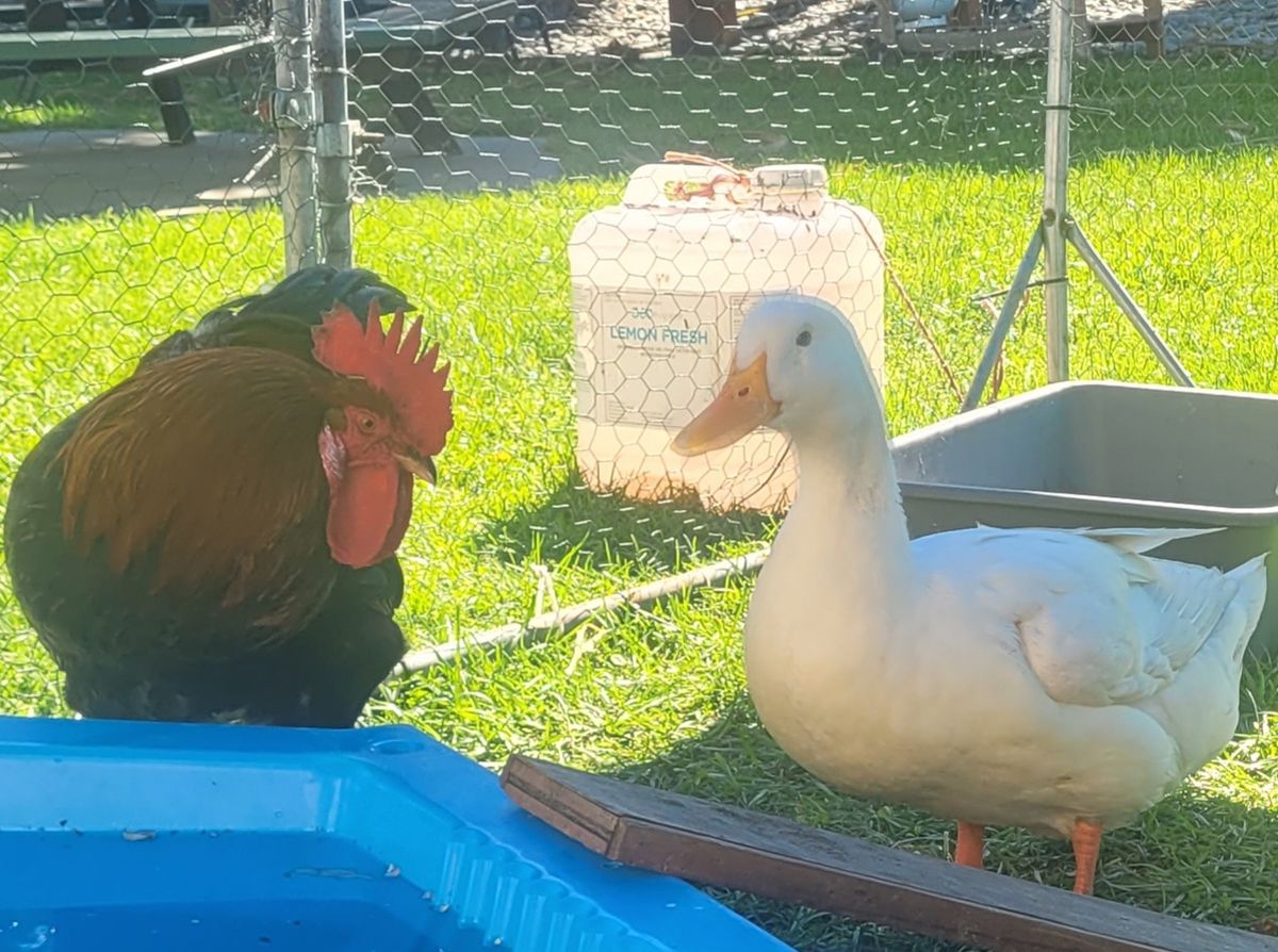 Gallery image: Quinton