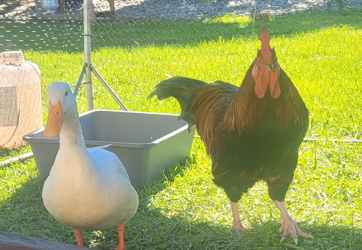 Gallery image: Quinton