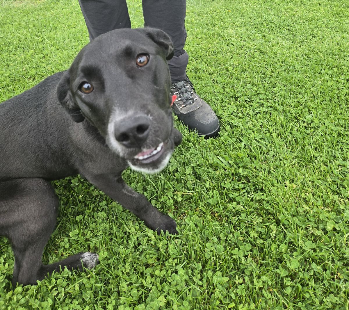 Gallery image: Sasha