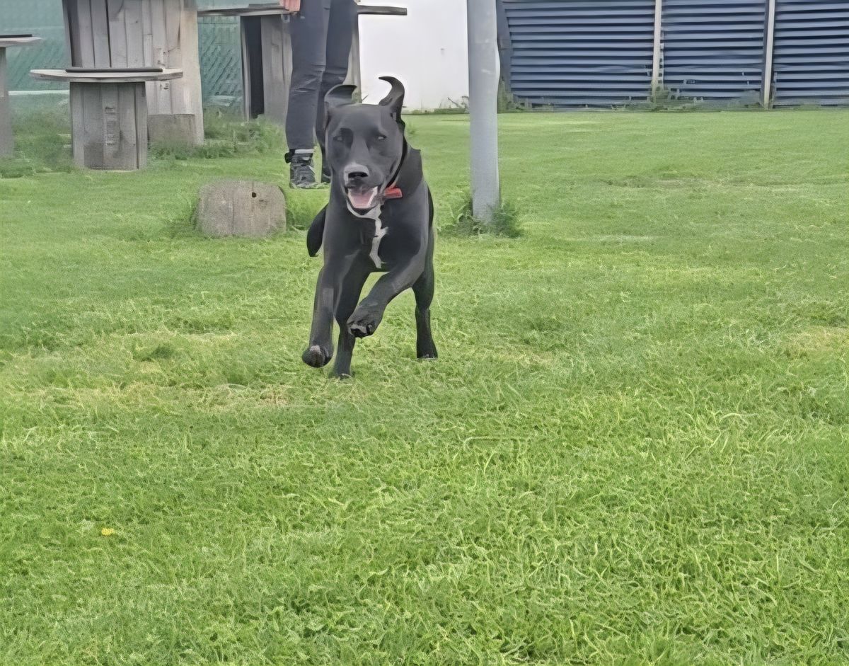 Gallery image: Sasha