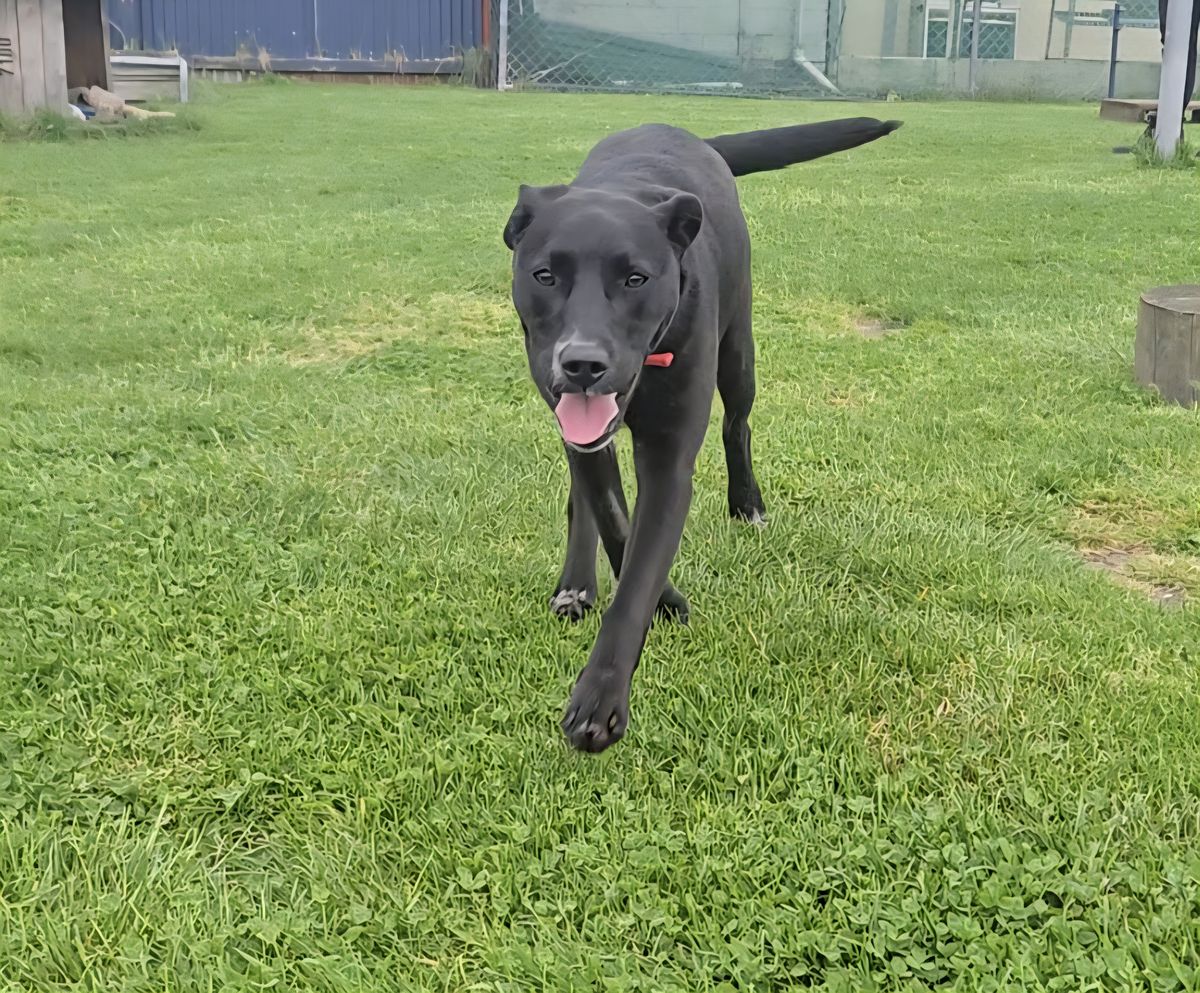 Gallery image: Sasha