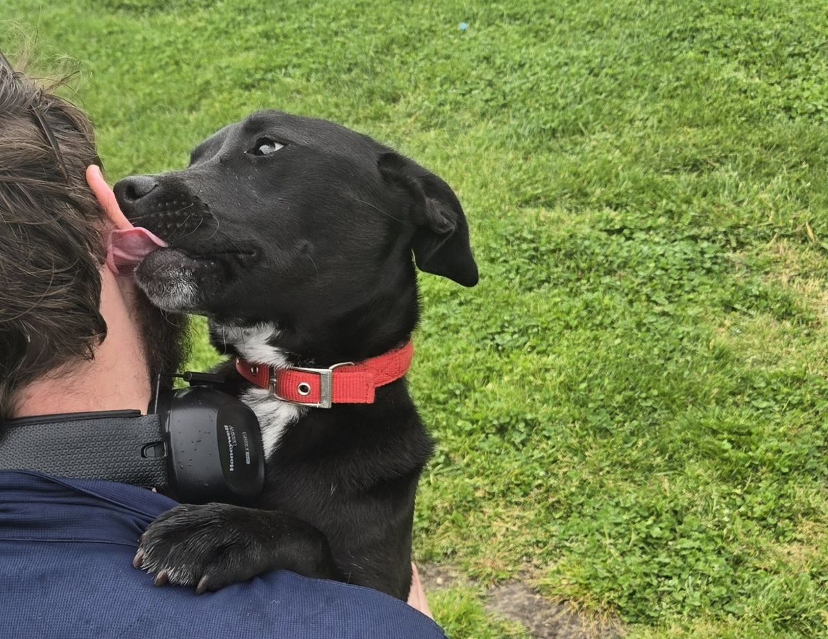 Gallery image: Sasha