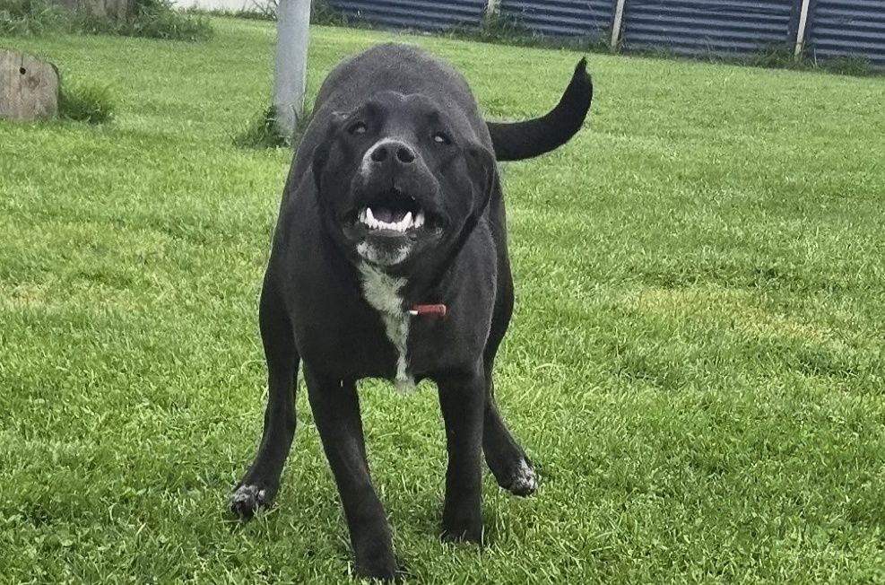 Gallery image: Sasha