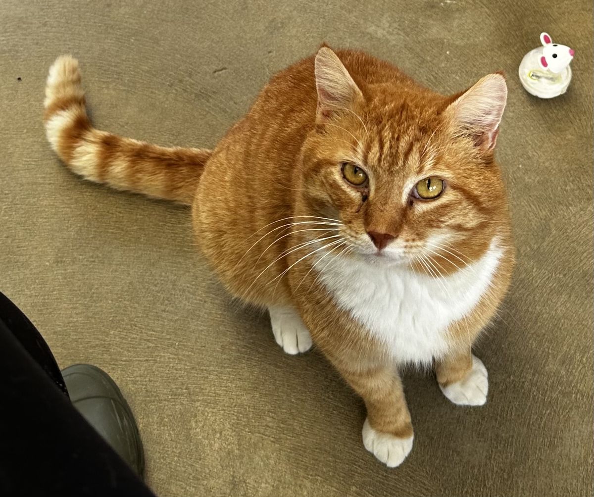 Gallery image: Rupert