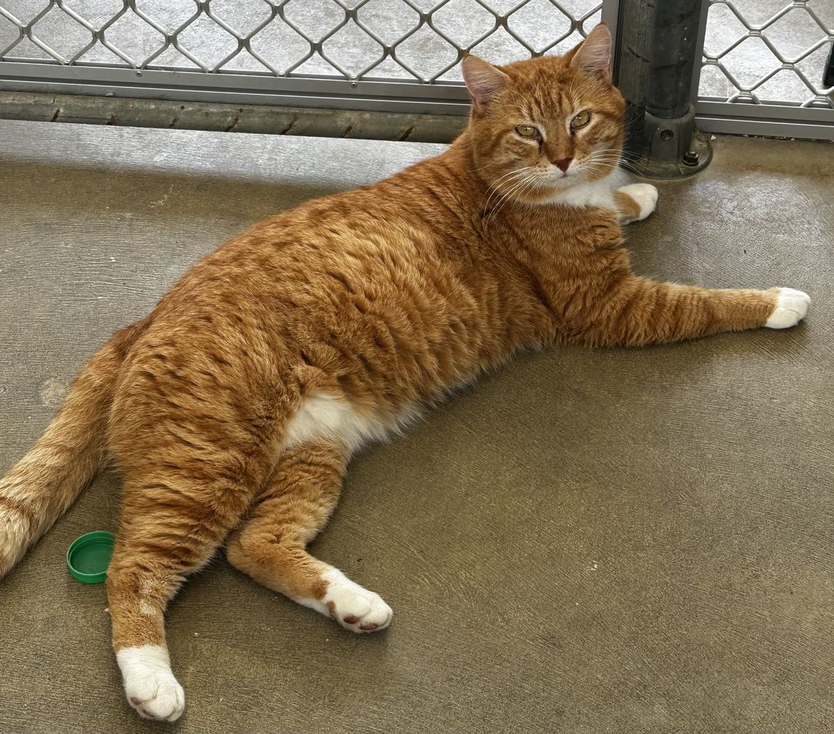 Gallery image: Rupert