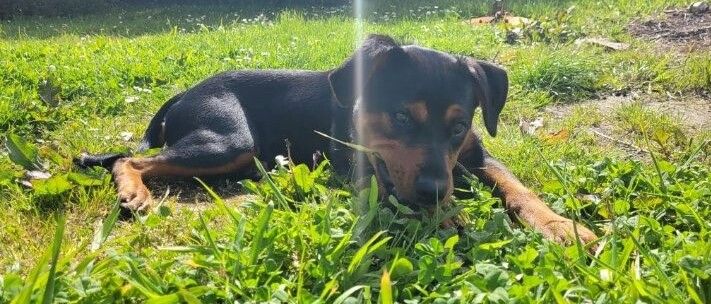 Gallery image: Sabrina