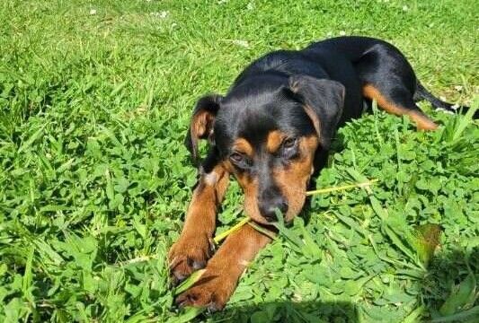 Gallery image: Sabrina