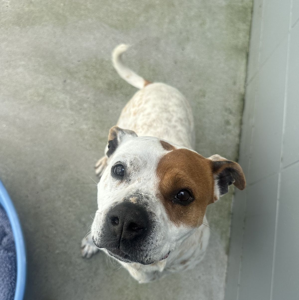 Gallery image: Lily-Rose