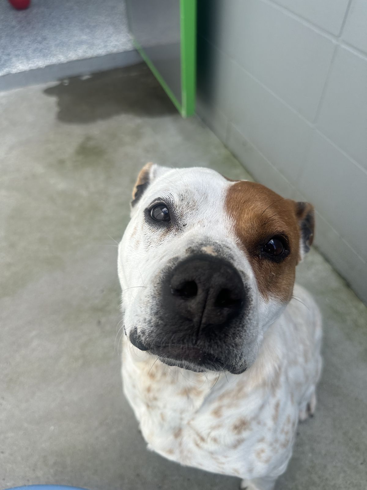 Gallery image: Lily-Rose