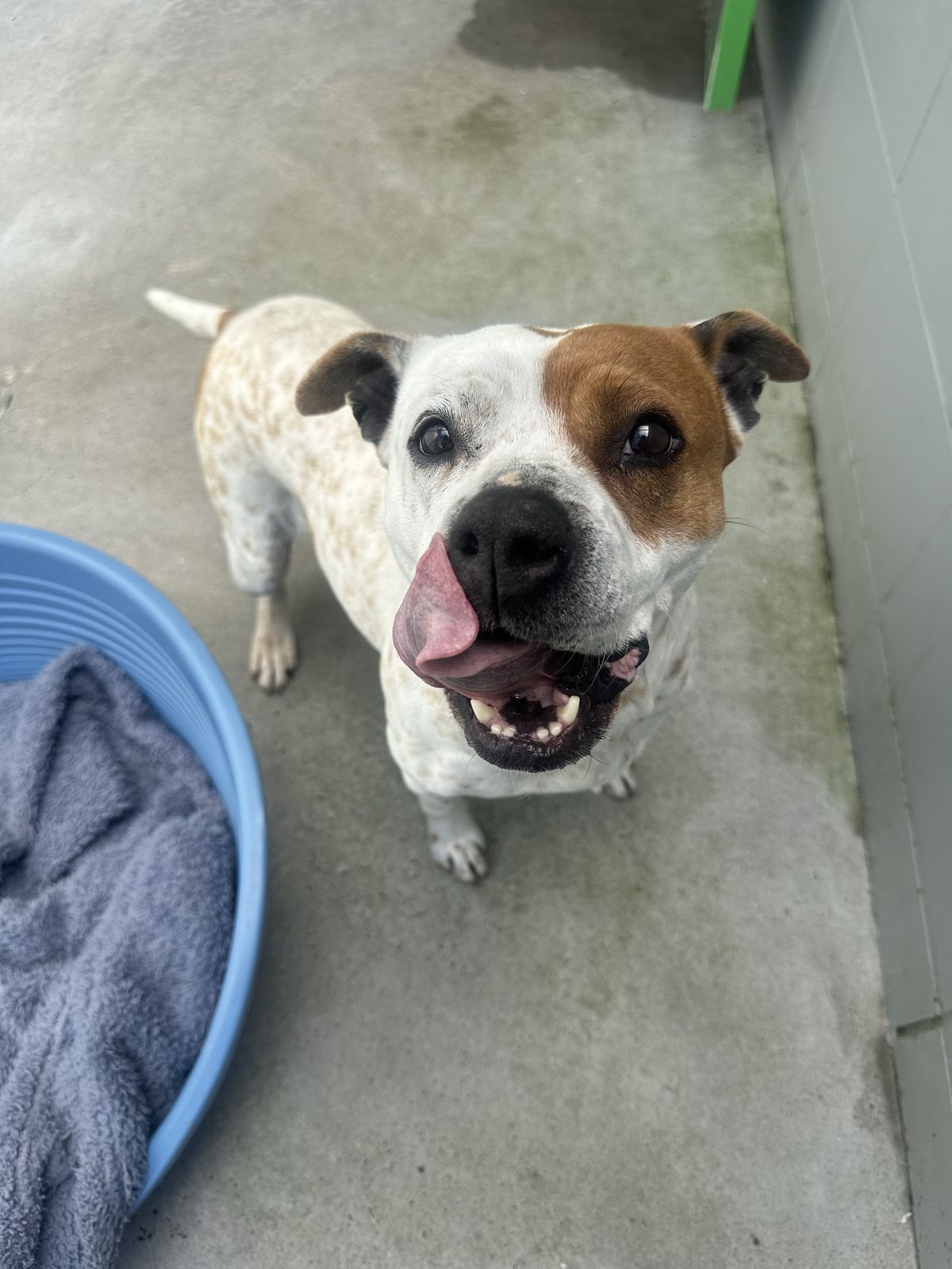 Gallery image: Lily-Rose