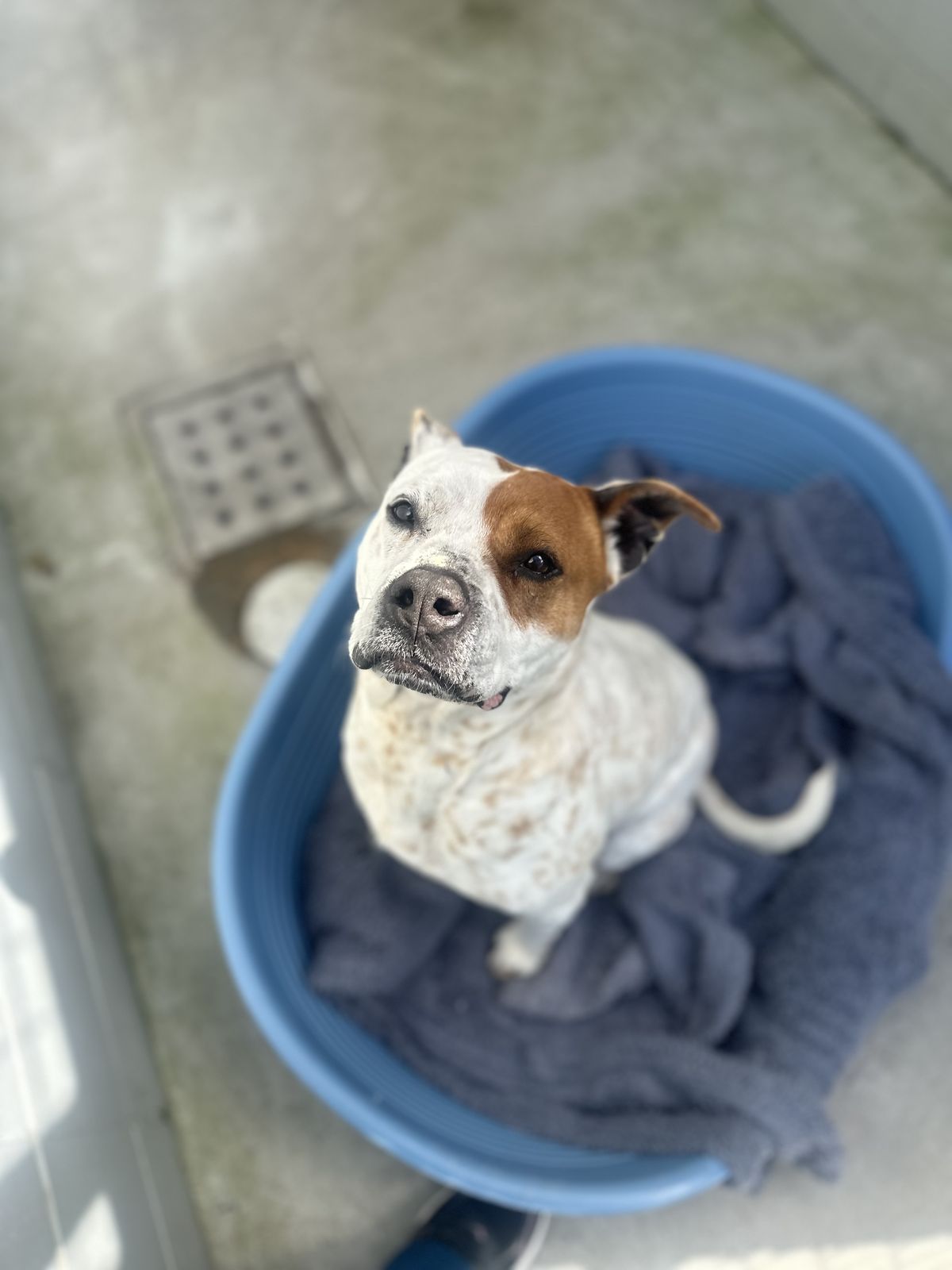 Gallery image: Lily-Rose