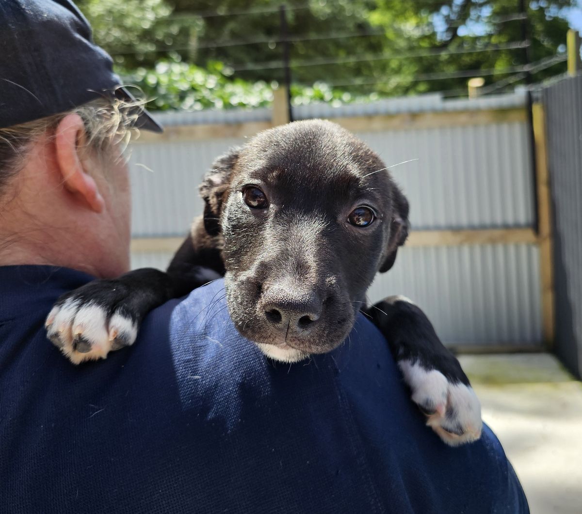 Gallery image: Breeze