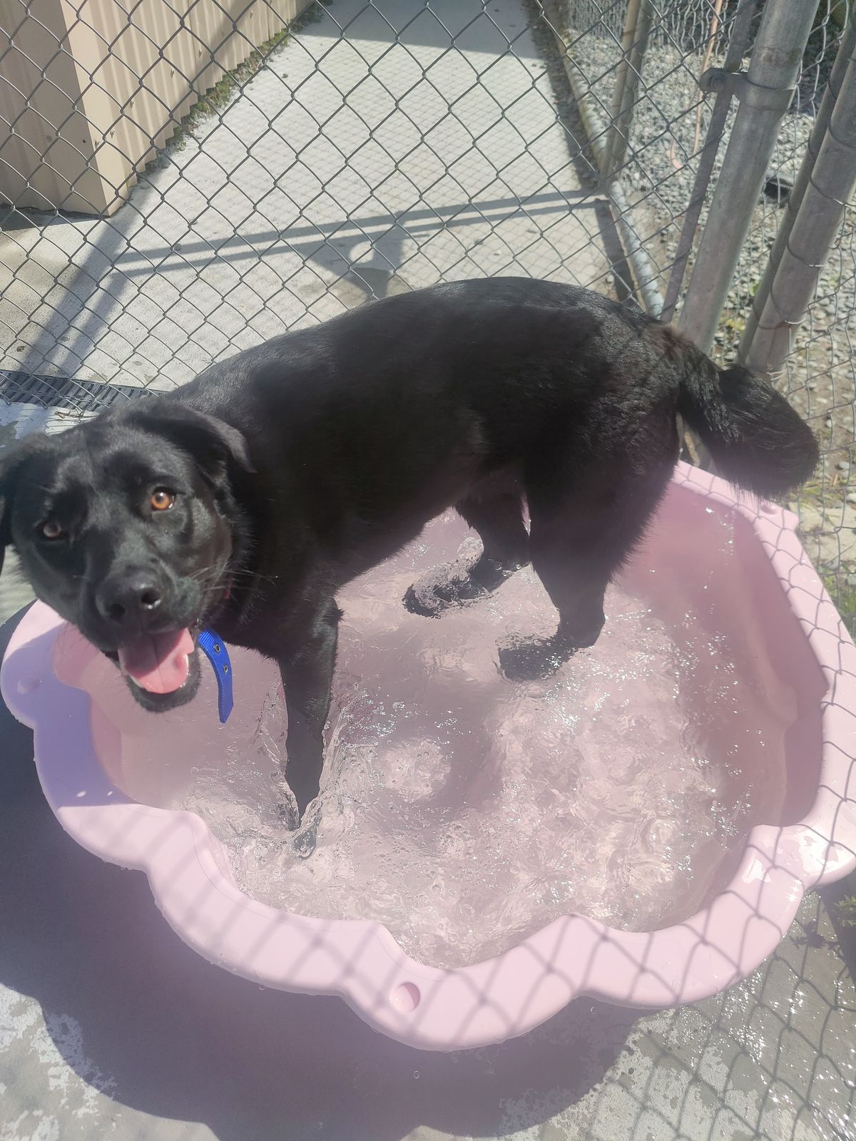 Gallery image: Skyla