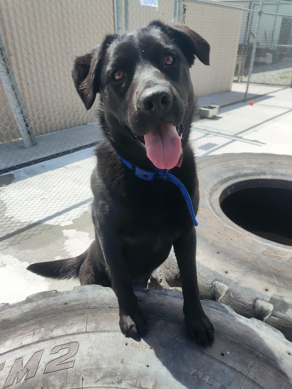 Gallery image: Skyla